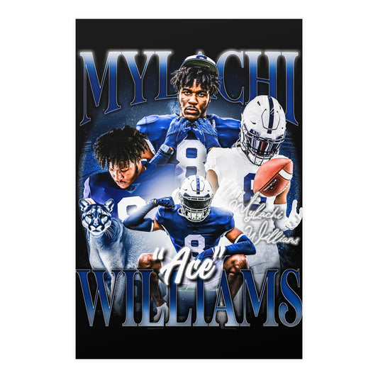 ACE WILLIAMS 24"x36" POSTER