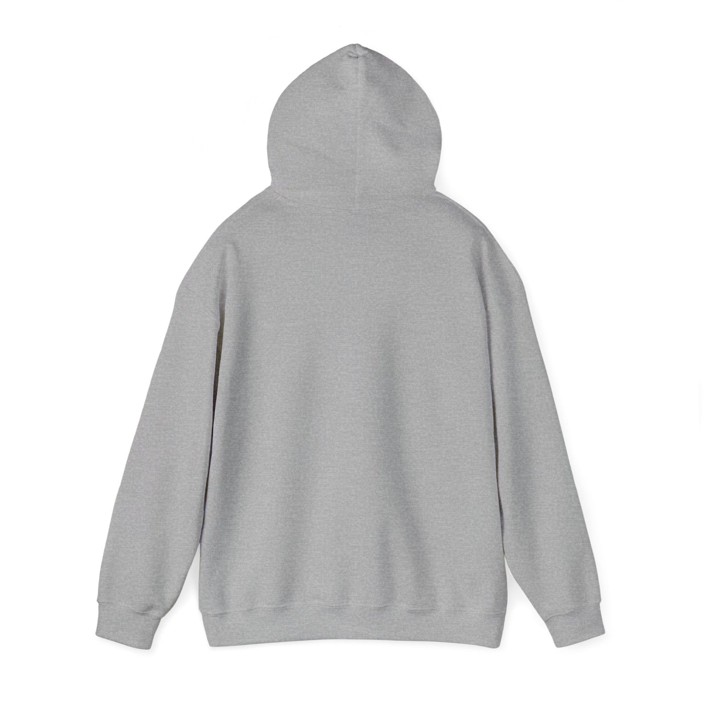 PLAY 4 TEXAS CLASSIC HOODIE