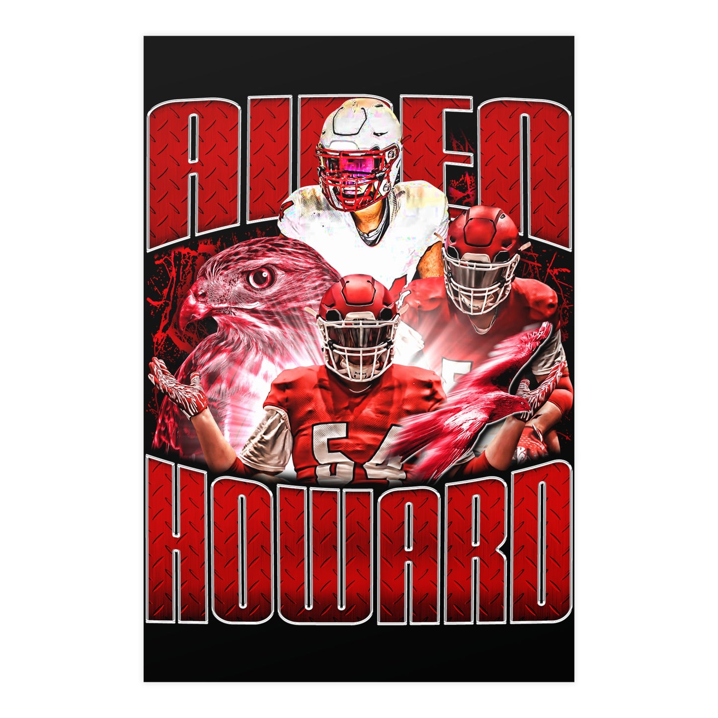 AIDEN HOWARD 24"x36" POSTER