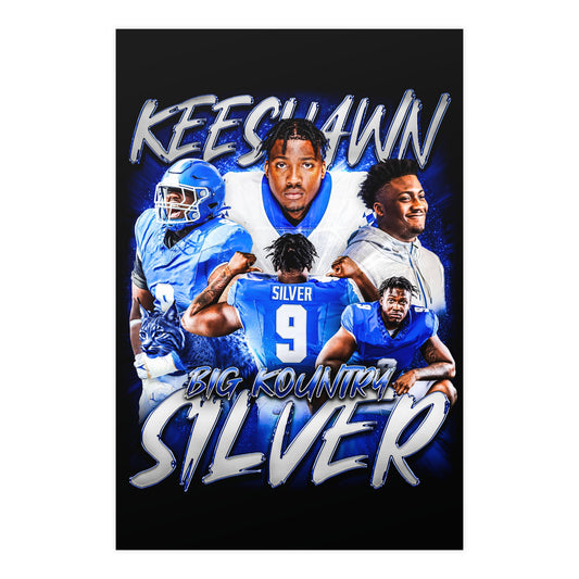 KEESHAWN SILVER 24"x36" POSTER