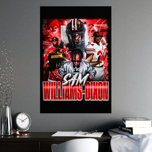 SWD 24"x36" POSTER