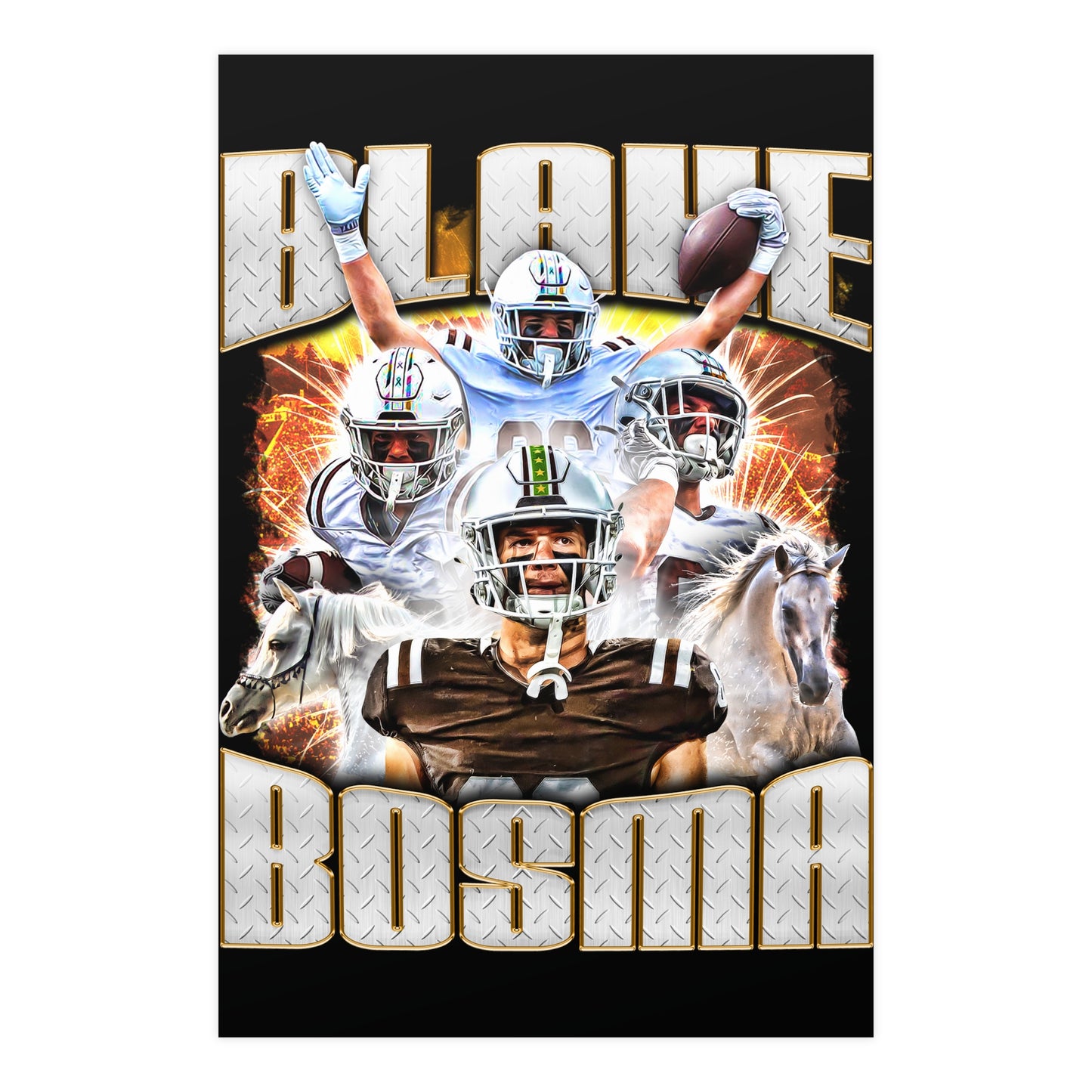 BOSMA ALT 24"x36" POSTER