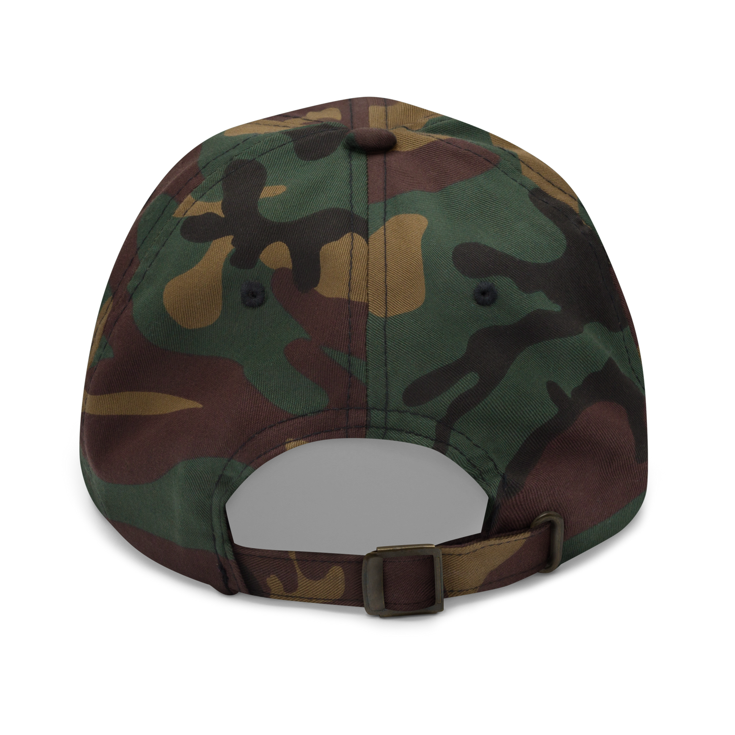 PAYNE PERFORMANCE CAP