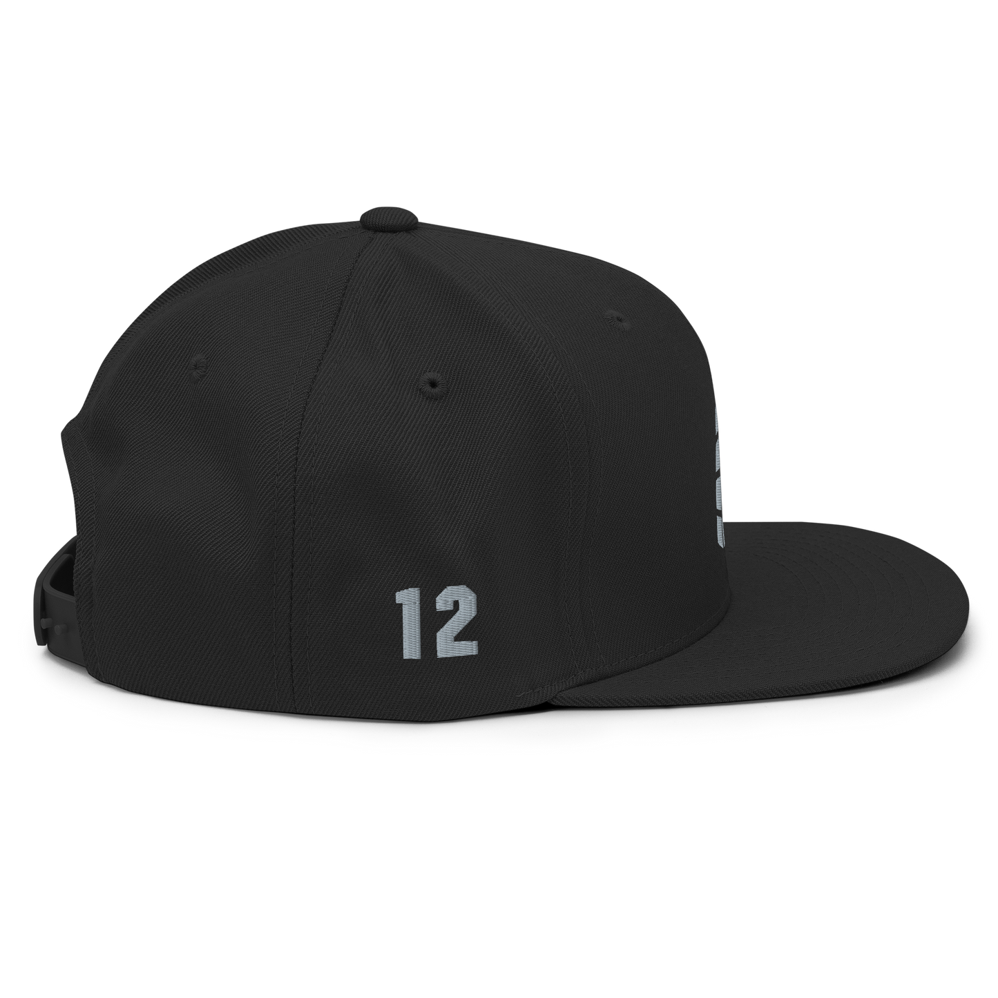 DELAURIER ALT SNAPBACK