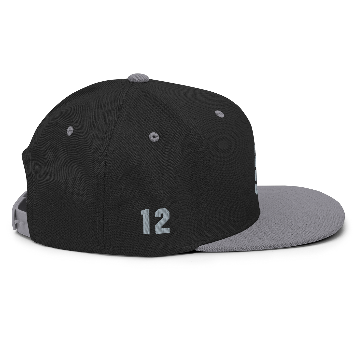 DELAURIER ALT SNAPBACK