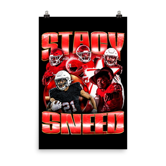 SNEED 24"x36" POSTER