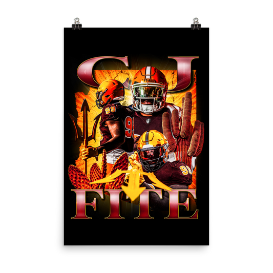 FITE 24"x36" POSTER