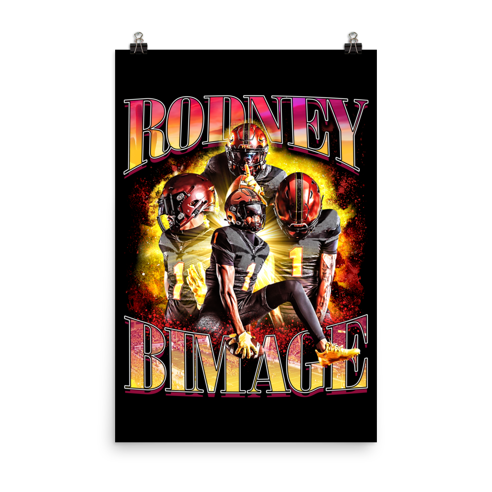 BIMAGE 24"x36" POSTER