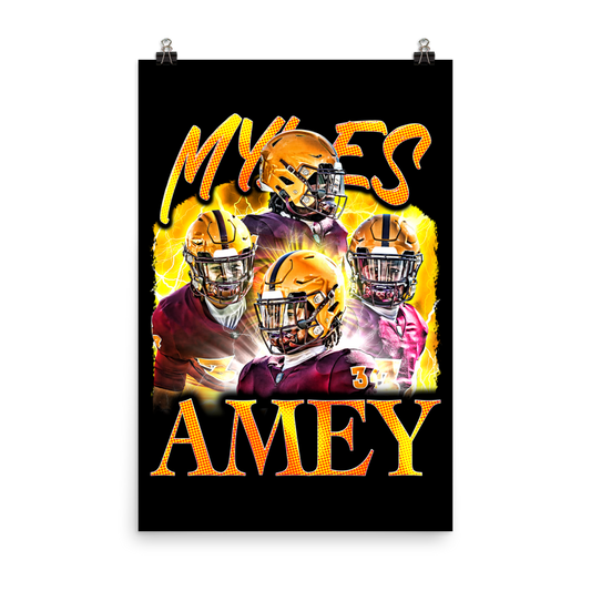 AMEY 24"x36" POSTER
