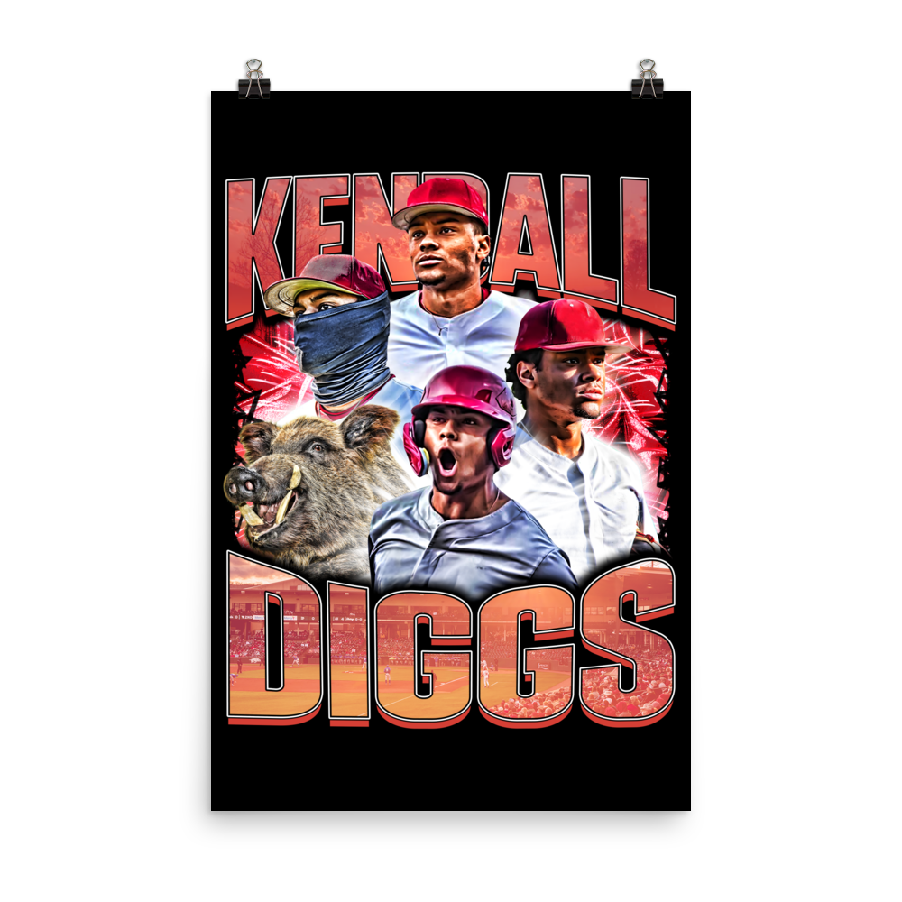 DIGGS 24"x36" POSTER