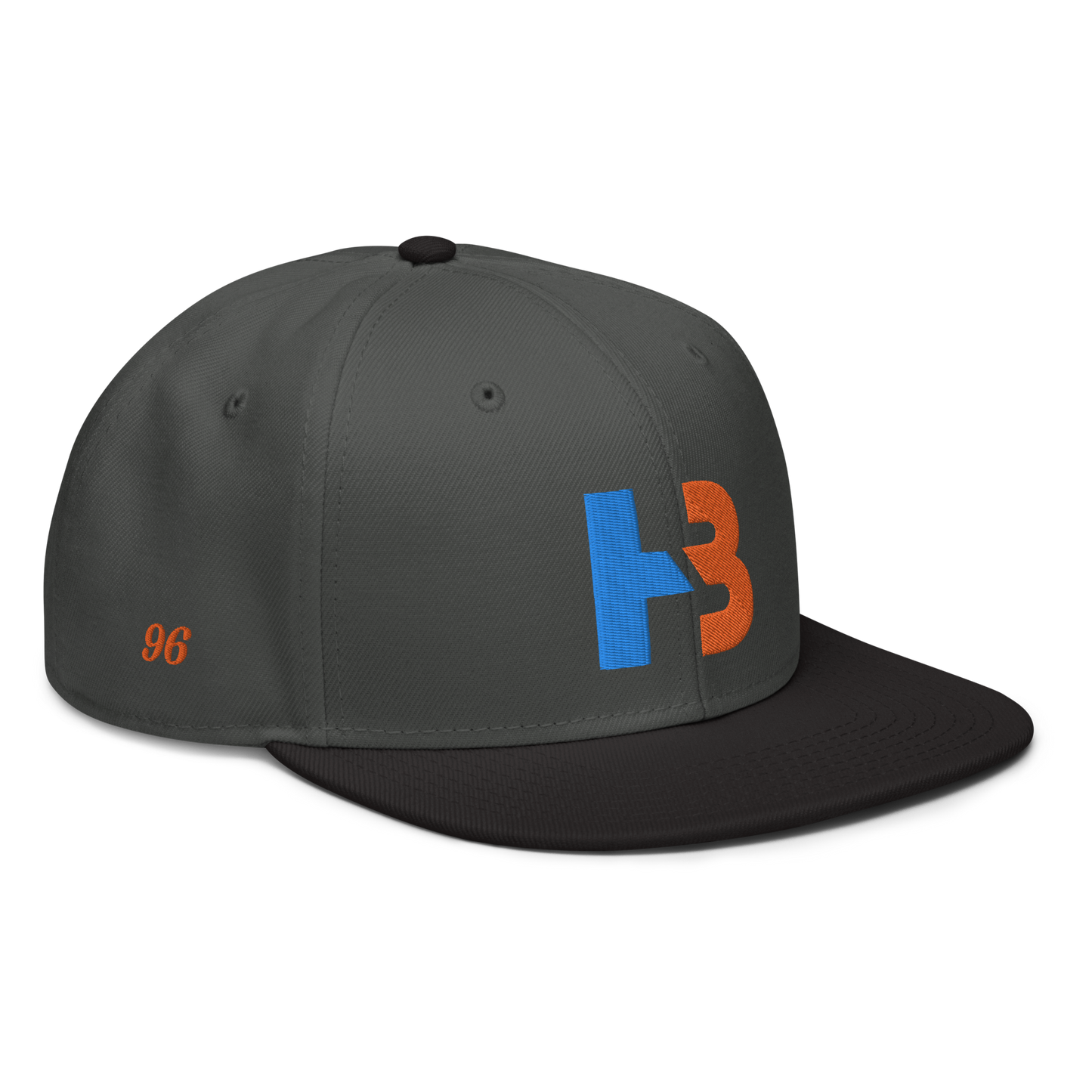 HOWARD BROWN ALT SNAPBACK