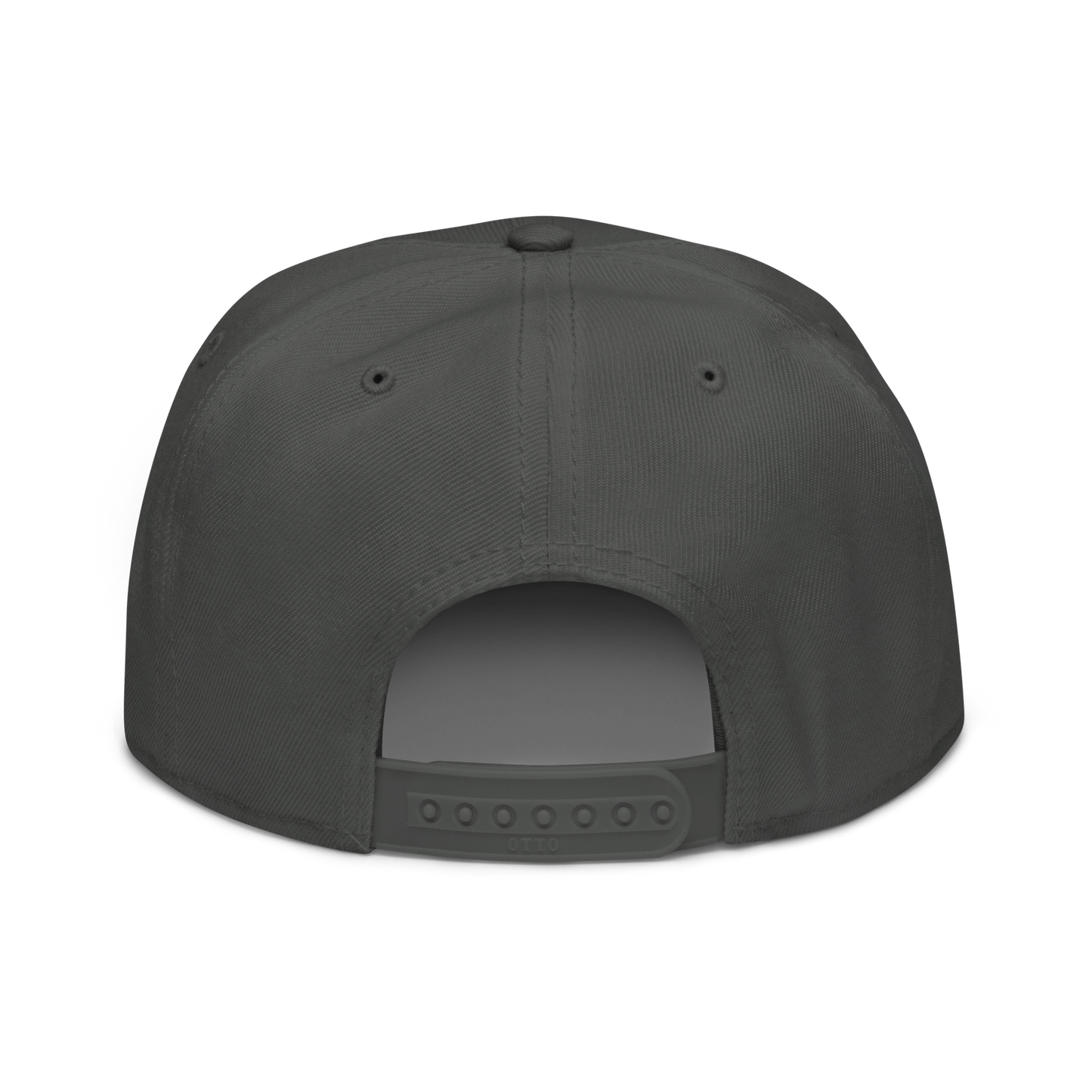 HOWARD BROWN ALT SNAPBACK