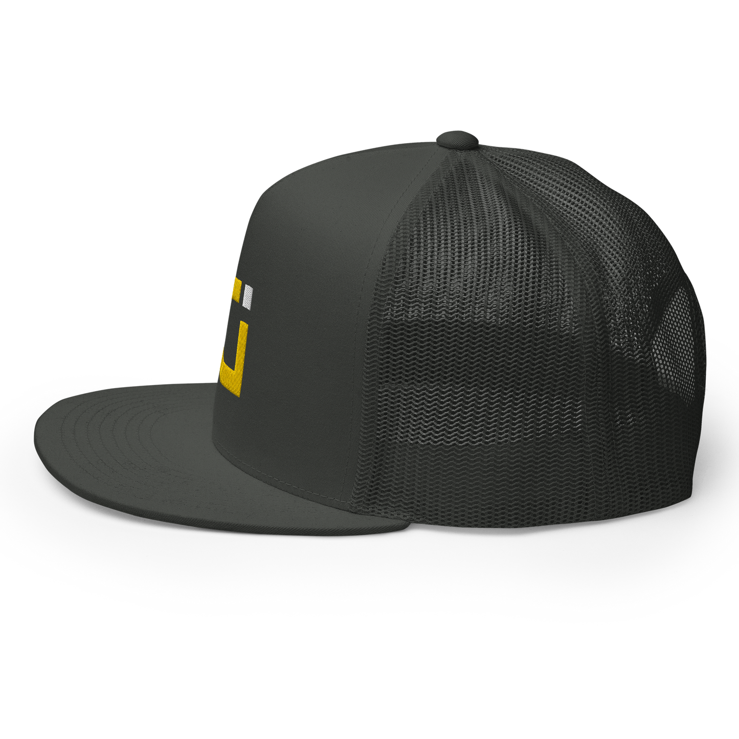 CHUCK INGRAM SNAPBACK