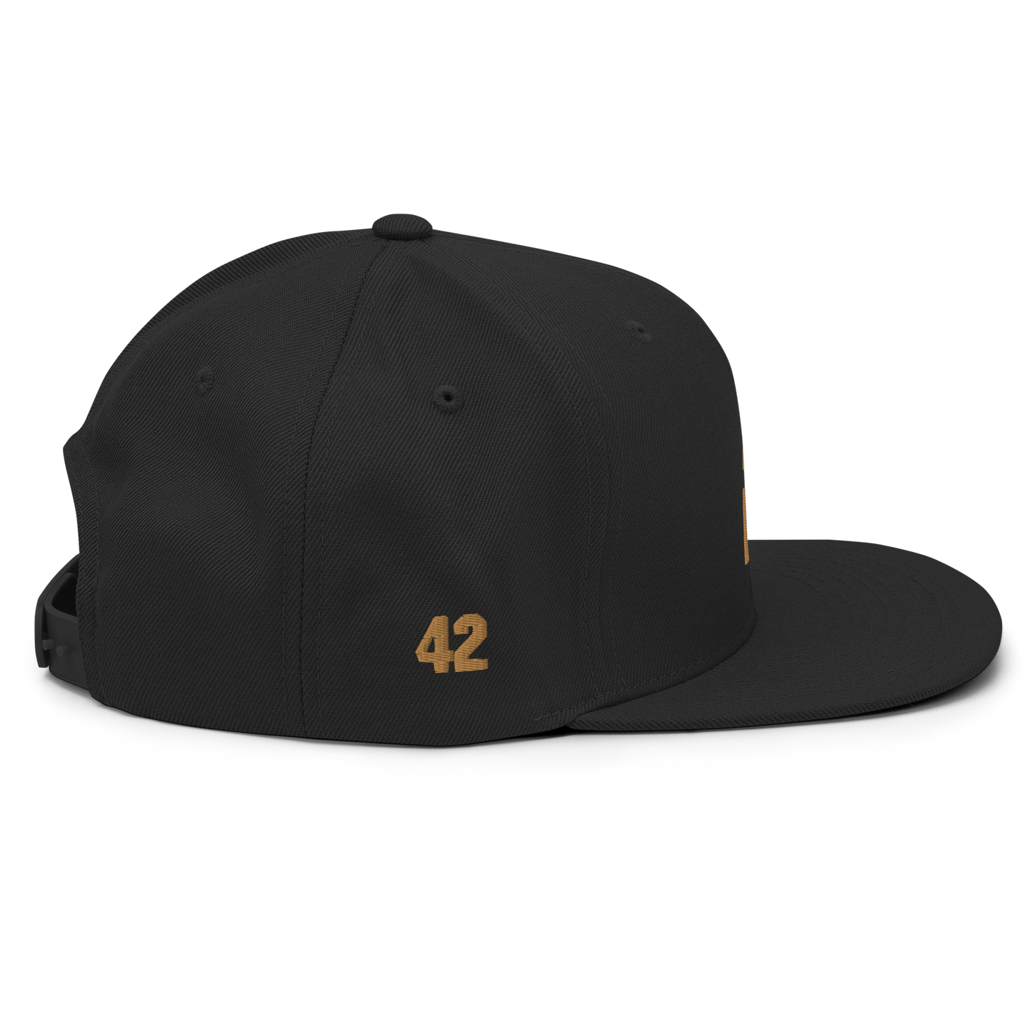 REGGIE PETERSON SNAPBACK