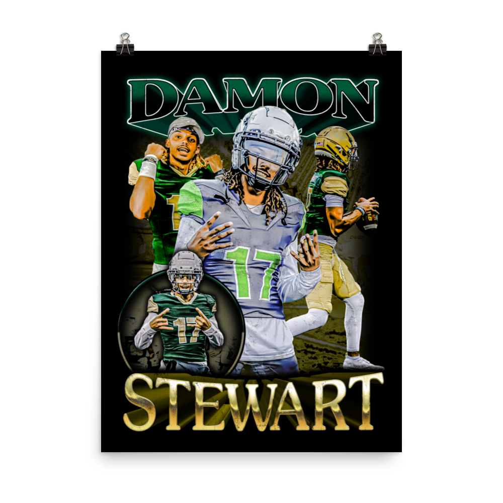 DAMON STEWART 18"x24" POSTER