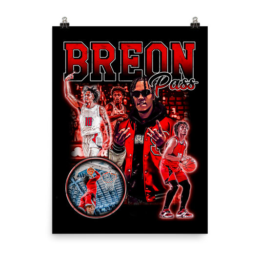 BREON PASS 18" x 24" POSTER