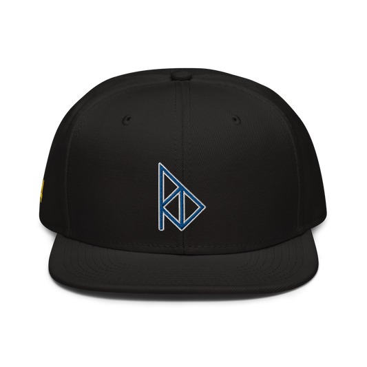 DELANCY GAMEDAY SNAPBACK