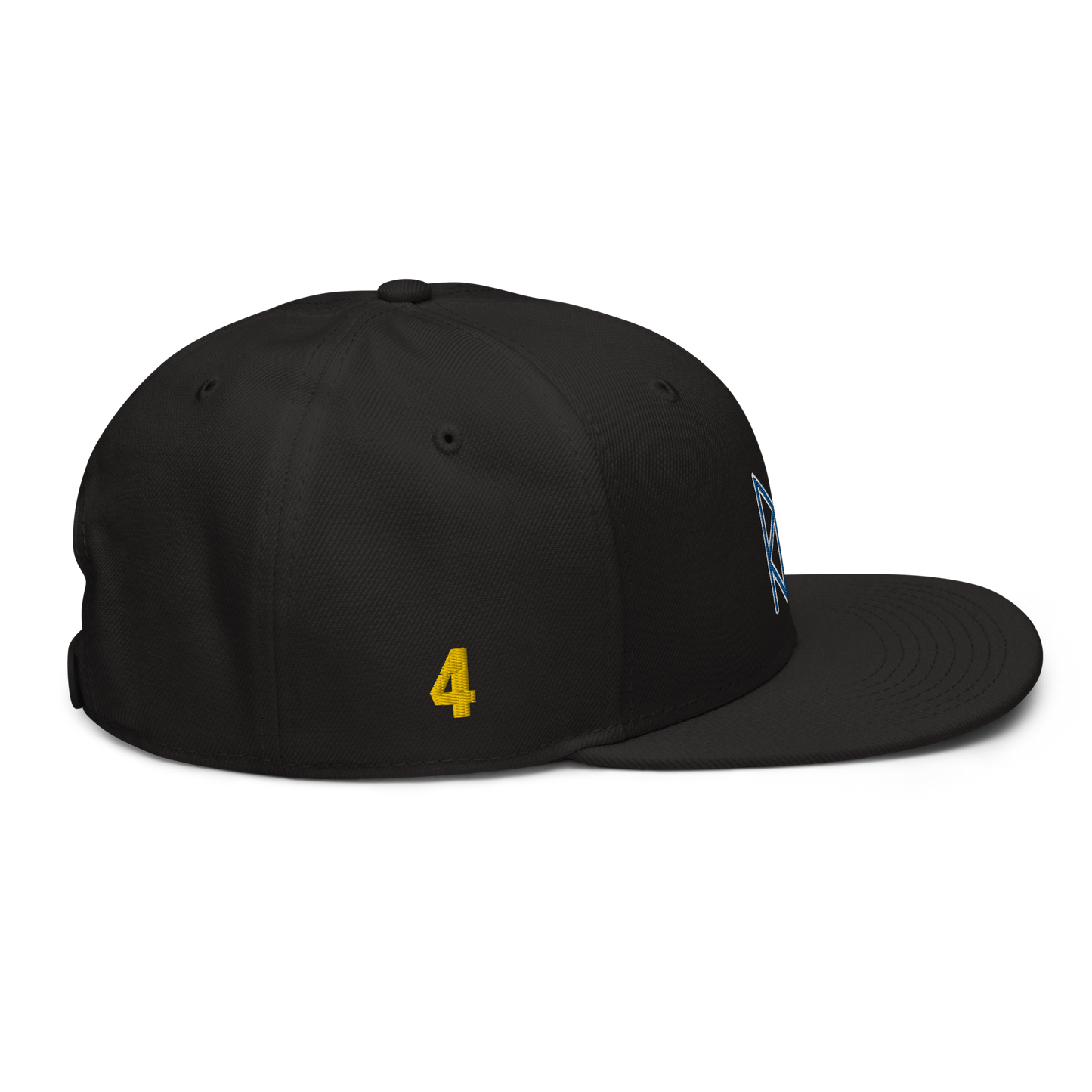 DELANCY GAMEDAY SNAPBACK