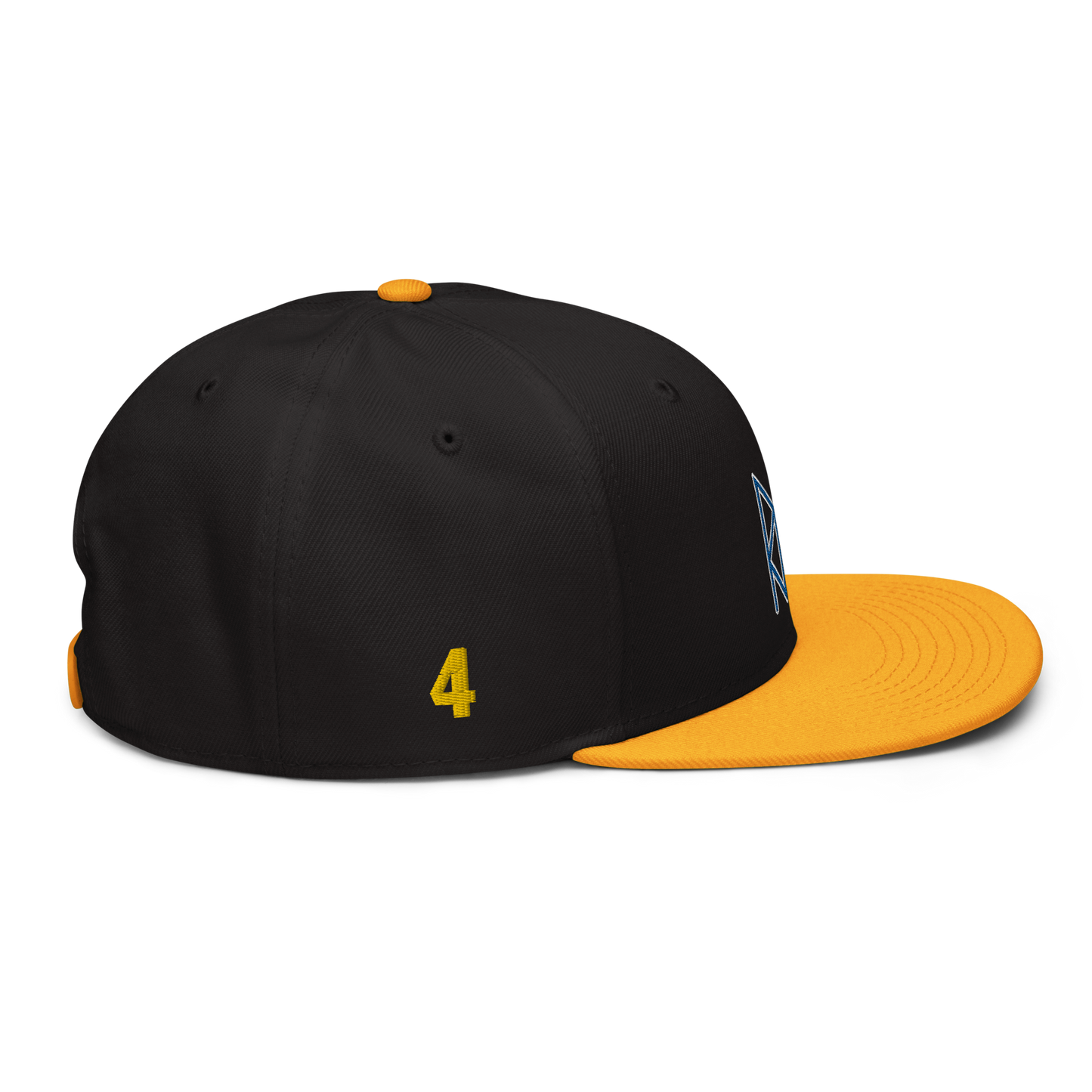 DELANCY GAMEDAY SNAPBACK